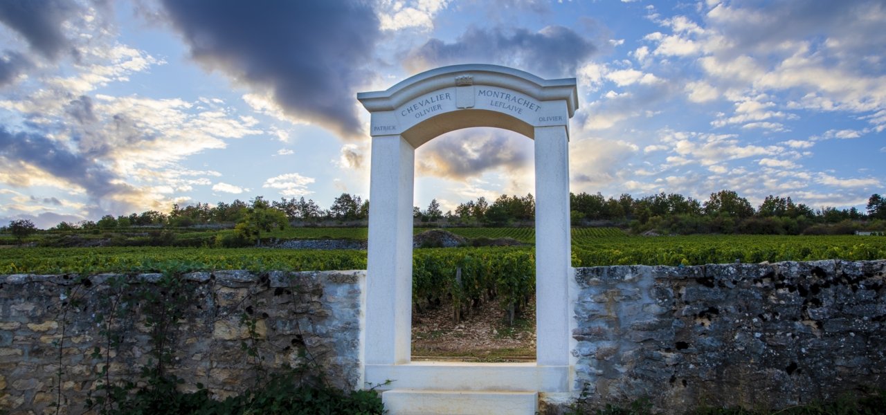 Chevalier Montrachet Grand Cru