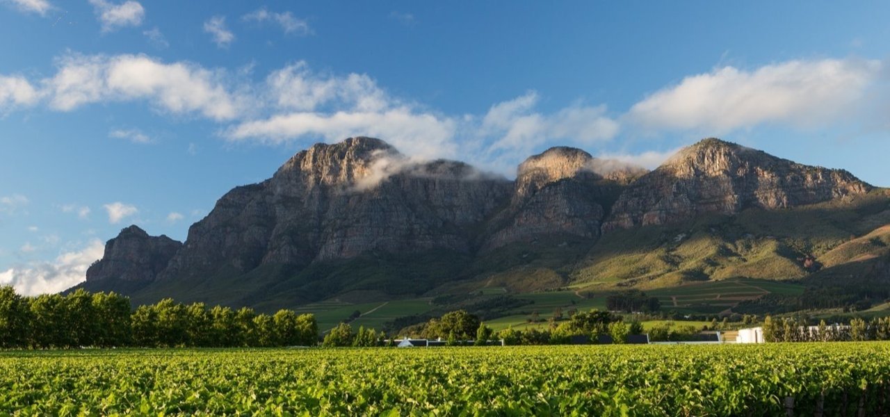 Rupert & Rothschild Vignerons