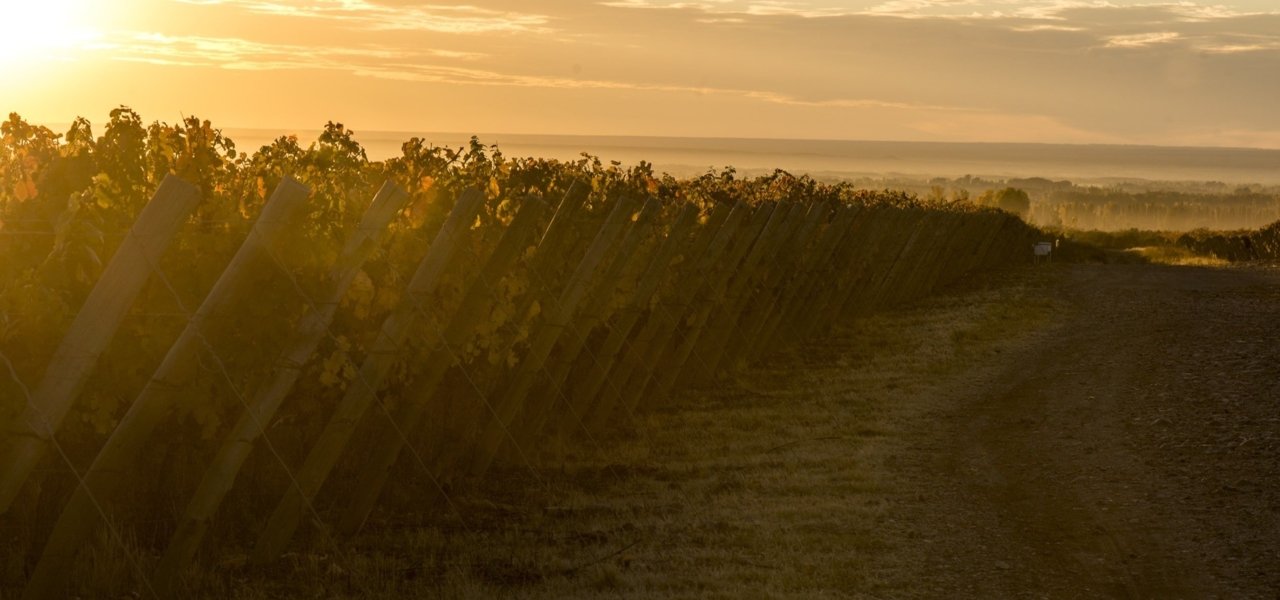 sunset at clos de los siete