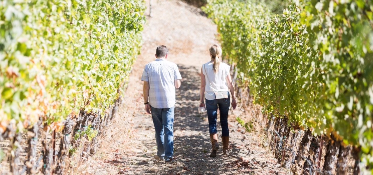 Fantesca Estate & Winery Vineyard