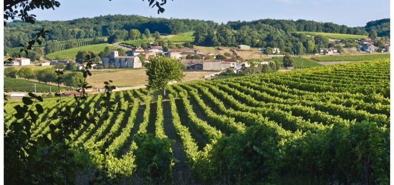 Hot air balloon tour