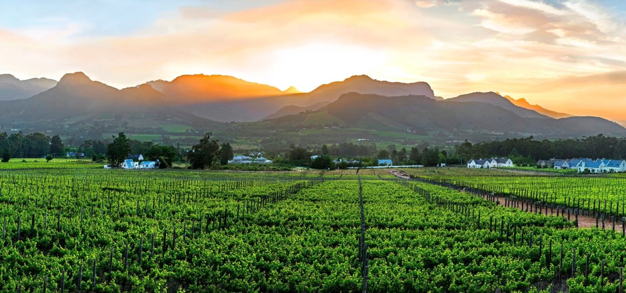 Darren, South Africa Local Expert