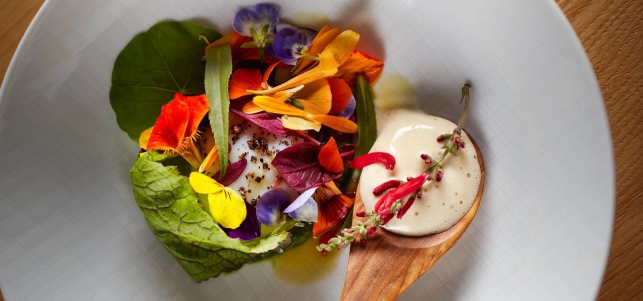 best gourmet restaurant in provence - Wine Paths