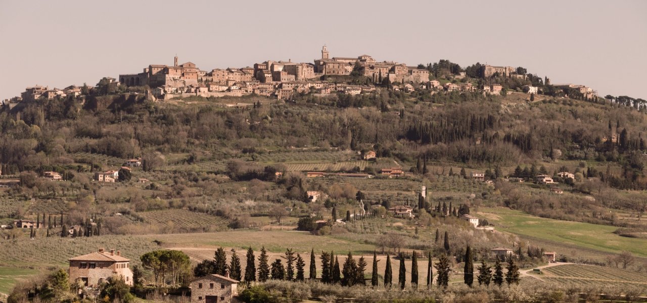 best wine tours in tuscany - Wine Paths