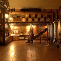Partner Family cellar since 4 generations waiting for you! photo