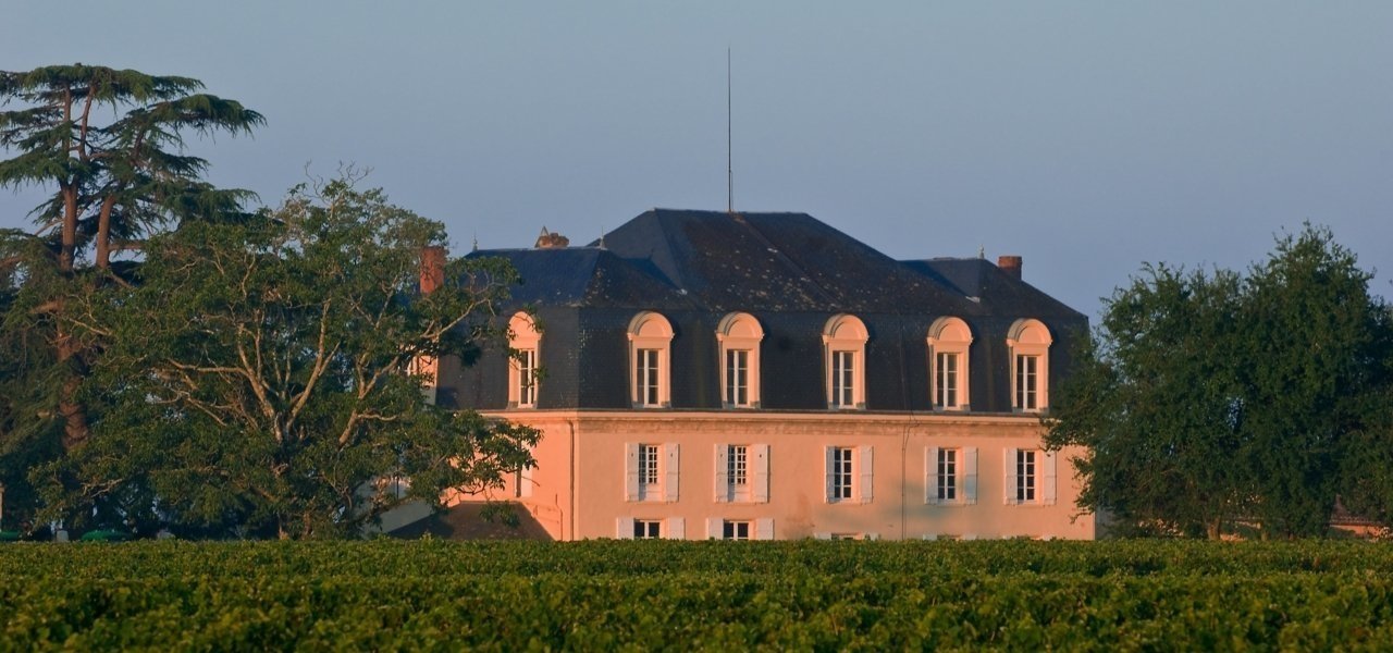 Vineyard Chateau Guiraud
