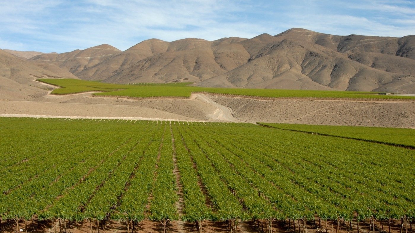 chile wine tours - Wine Paths