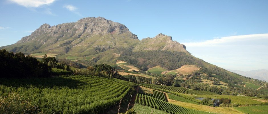 south africa wine tours - Wine Paths