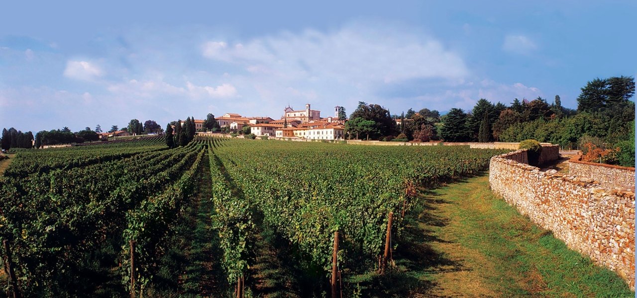 Franciacorta Landscape