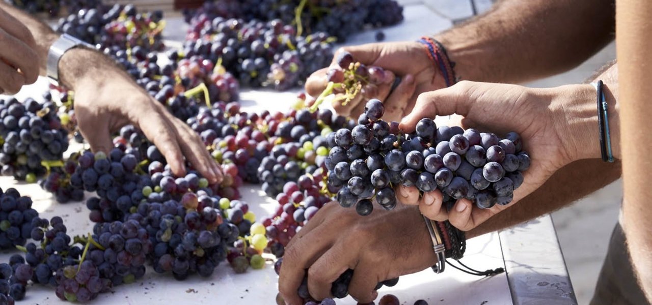 Château de la Gaude