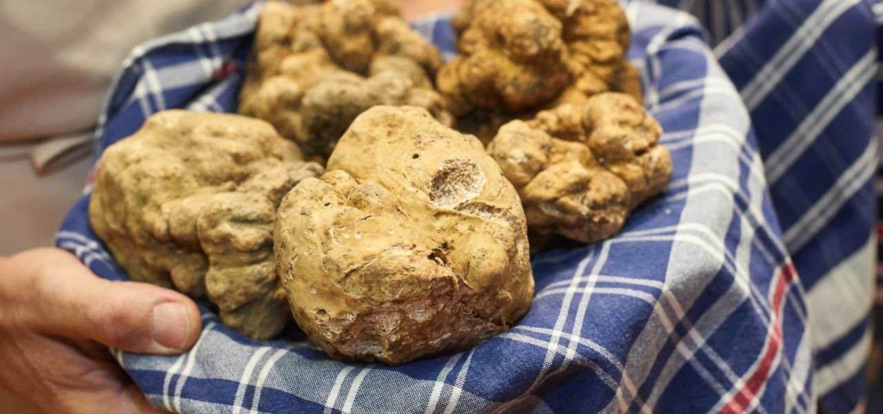 Alba White Truffles