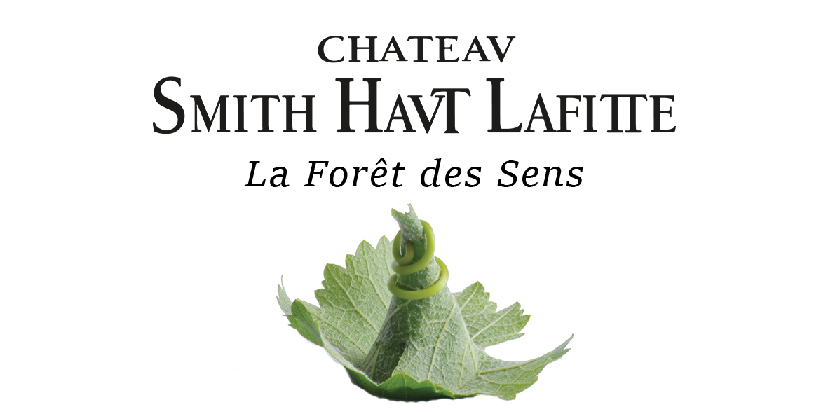 ch&acirc;teau smith haut lafitte wines - Wine Paths